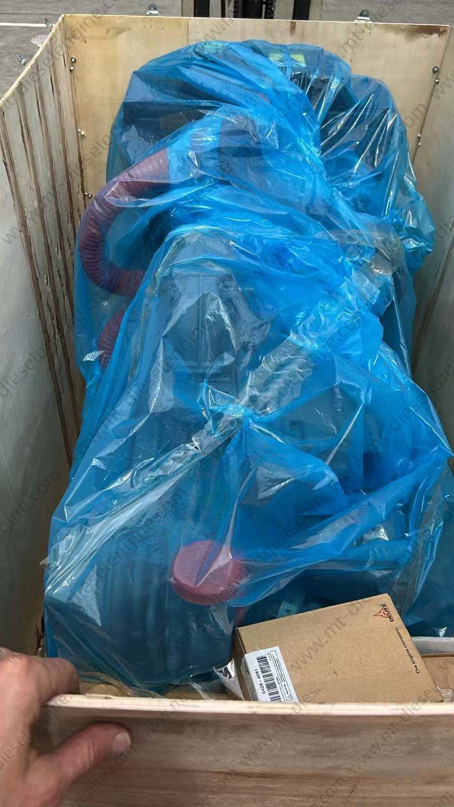 Aktueller Firmenfall über Überprüfung des Auftrags INV NO.MT241209D02