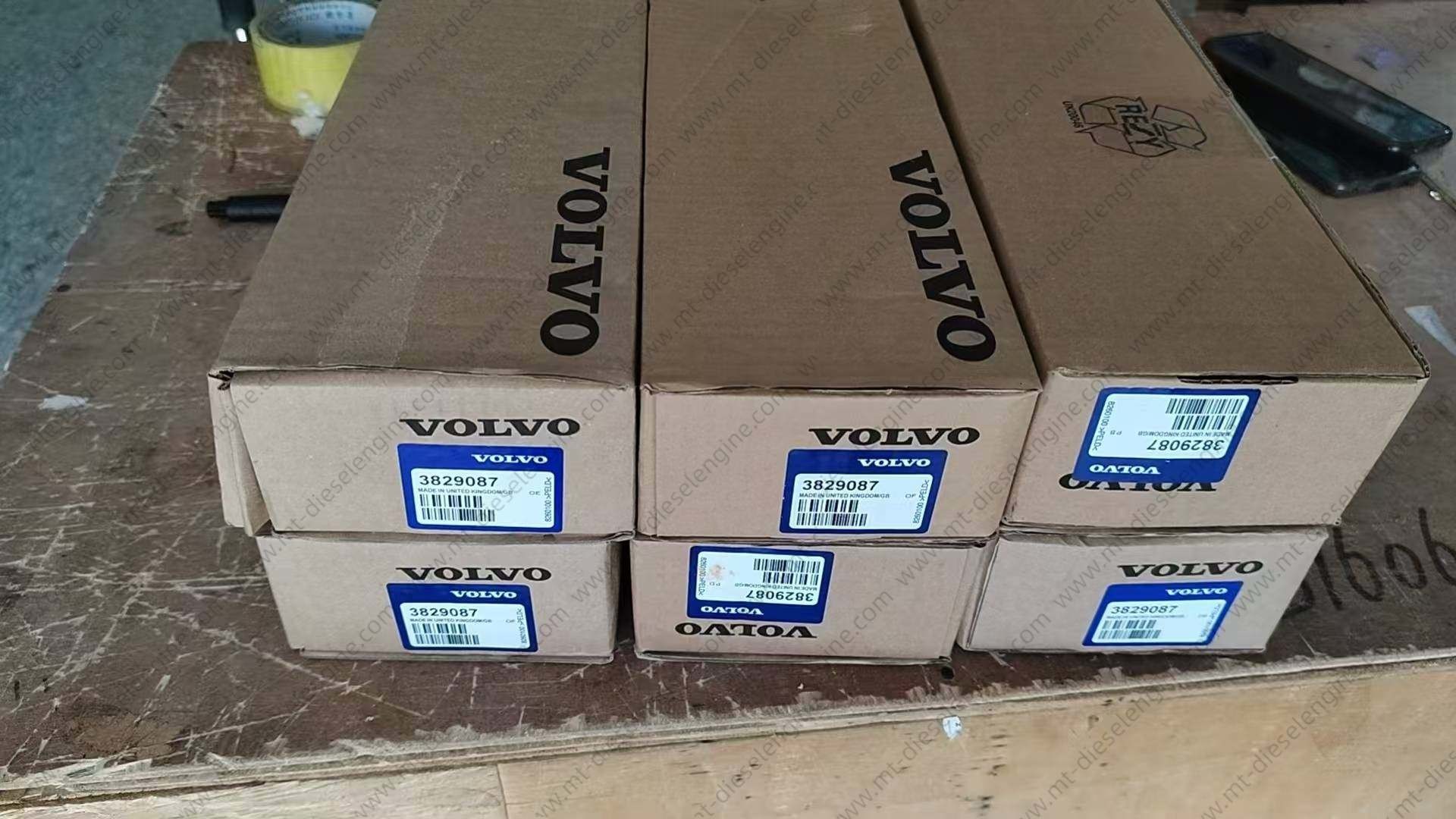 trường hợp công ty mới nhất về Đánh giá lệnh  INV NO.MT241212D06