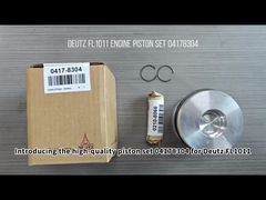 04178304 Piston Set