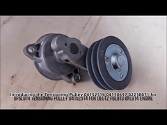 04152514 Tensioning Pulley