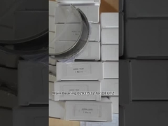 02931532 Main Bearing STD