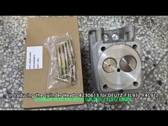 04230613 Cylinder Head assy