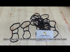 Oil Cooler Gasket 04254804