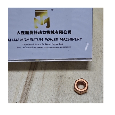 DEUTZ BF4M2012 BF6M2012 Engine Parts Hexagon Nut 0118 1684 0116 4582 0118 2036 01181684 01164582 01182036