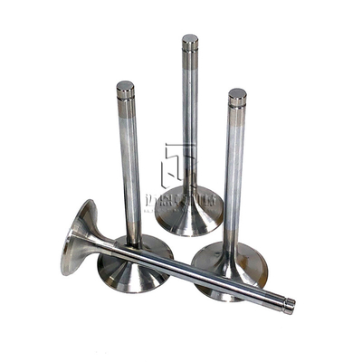 Exhaust Valve 04254233 04283379 04289801 04250072 04250138 0425 4233 0428 3379 0428 9801 0425 0072 0425 0138 4254233 4283379 4289801 4250072 4250138 for deutz TCD2013 engine