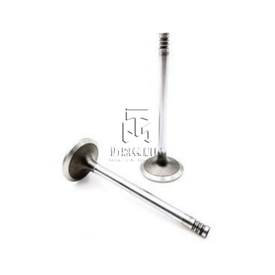 Intake Valve 20791517 04283376 04254284 04254934 4283376 4254284 4254934 0428 3376 0425 4284 0425 4934 for DEUTZ BF4M2012 D4D BF6M2012 D6E