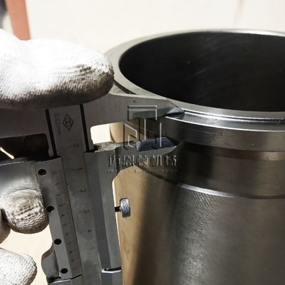 Cylinder Sleeve 04262543 01180667 04264462 0426 2543 0118 0667 0426 4462 4262543 1180667 4264462 for BF6M1015 TCD2015 Diesel Engine