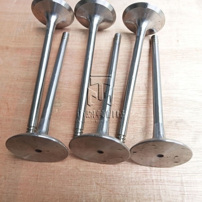 Inlet valve Exhaust valve 02137300 02237221 04153697 04159139 04231804 02137457 04159136 04153629 02137301 04159138  04230567 for deutz FL914 FL913 BFL914 BFL913 TCD914 engine