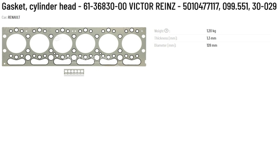 Original VICTOR REINZ Gasket Cylinder Head 61-36830-00 5010477117 099.551 30-029746-00 Made of Metal
