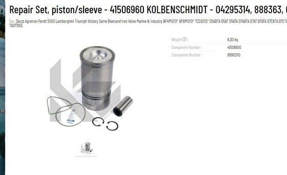 Piston 41506960 888363 04253771 04295314 0425 3771 0429 5314 4253771 4295314 for deutz BFM1013 TCD2012 TAD530GE TAD520GE D5E D7E