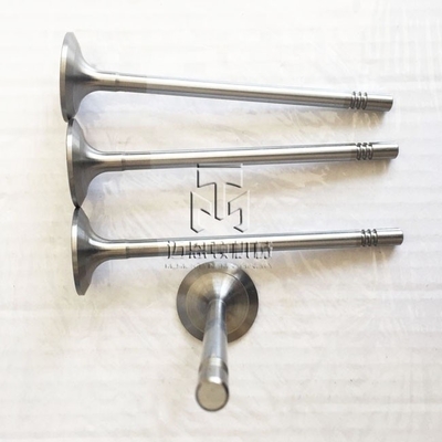 Inlet Valve And Exhaust Valve 04903005 04900685 0490 3005 0490 0685 4903005 For TCD2013 4V TAD561 TAD560