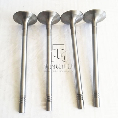Inlet Valve And Exhaust Valve 04903005 04900685 0490 3005 0490 0685 4903005 For TCD2013 4V TAD561 TAD560
