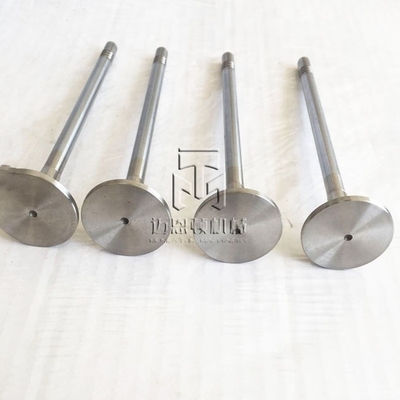 Inlet Valve And Exhaust Valve 04903005 04900685 0490 3005 0490 0685 4903005 For TCD2013 4V TAD561 TAD560