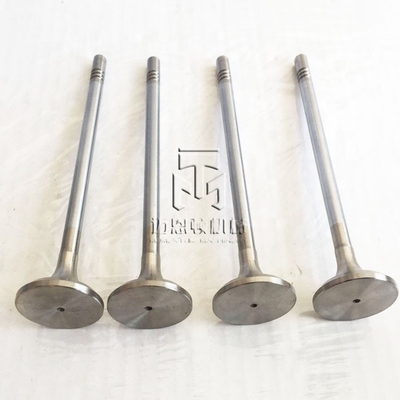Inlet Valve And Exhaust Valve 04903005 04900685 0490 3005 0490 0685 4903005 For TCD2013 4V TAD561 TAD560