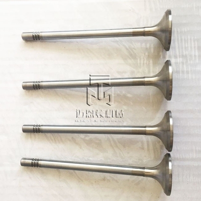 Inlet valve Exhaust valve 04285263 04283708 04290024 04285957 04283709 04290025 4285263 4283708 4290024 4285957 4283709 4290025 0428 5263 0428 3708 0429 0024 0428 5957 0428 3709 0429 0025 for TCD2013