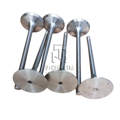 Inlet Valve 04234952 04231979 04234951 4234952 4231979 4234951 0423 4952 0423 1979 0423 4951 Exhaust Valve 04159137 04153696 02232717 4159137 4153696 2232717 0415 9137 04153 696 0223 2717 for D914