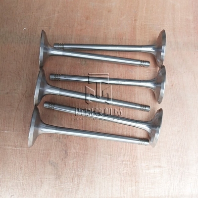 Inlet Valve 04234952 04231979 04234951 4234952 4231979 4234951 0423 4952 0423 1979 0423 4951 Exhaust Valve 04159137 04153696 02232717 4159137 4153696 2232717 0415 9137 04153 696 0223 2717 for D914