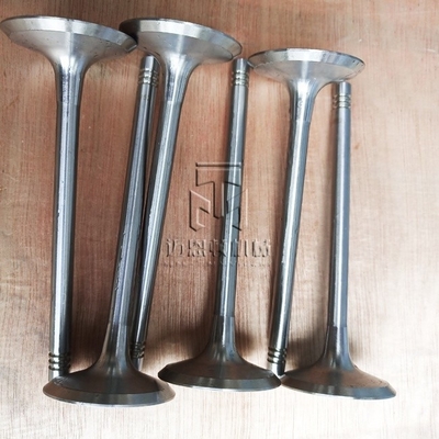 Inlet Valve 04234952 04231979 04234951 4234952 4231979 4234951 0423 4952 0423 1979 0423 4951 Exhaust Valve 04159137 04153696 02232717 4159137 4153696 2232717 0415 9137 04153 696 0223 2717 for D914