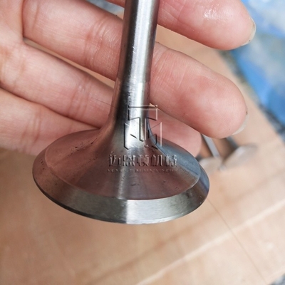 Inlet Valve 04234952 04231979 04234951 4234952 4231979 4234951 0423 4952 0423 1979 0423 4951 Exhaust Valve 04159137 04153696 02232717 4159137 4153696 2232717 0415 9137 04153 696 0223 2717 for D914