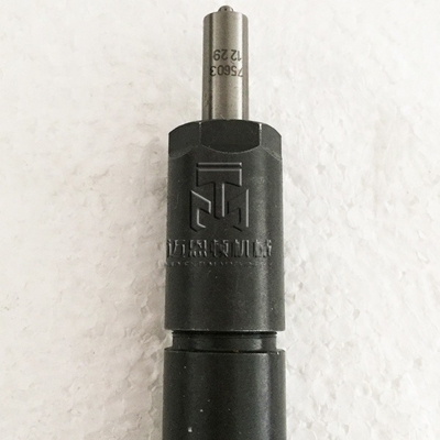 Fuel Injector 02112957 04501516 2112957 4501516 0211 2957 0450 1516 0432191327 20502189 for deutz BFM1013 engine