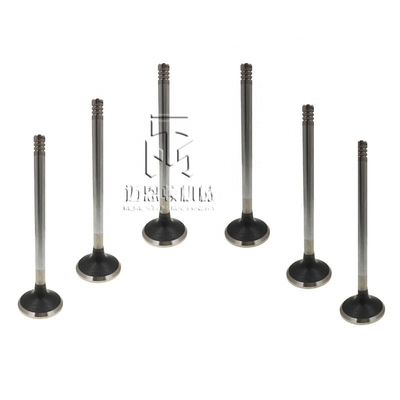 Inlet valve exhaust valve 0420 9111 0425 5255 0428 3381 04289248 04255254 4209111 4255255 4283381 4289248 4255254 20417380 04209111 04255255 04283381 0428 9248 0425 5254 04283380 for  D7D BFM1013
