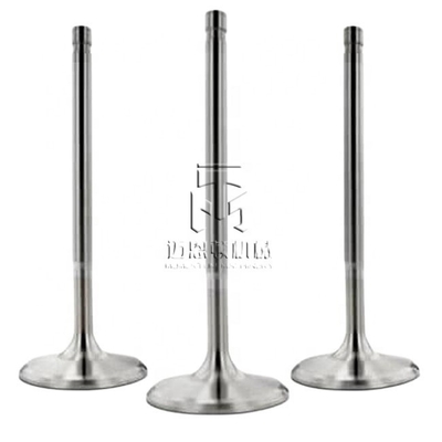 Inlet valve exhaust valve 0420 9111 0425 5255 0428 3381 04289248 04255254 4209111 4255255 4283381 4289248 4255254 20417380 04209111 04255255 04283381 0428 9248 0425 5254 04283380 for  D7D BFM1013