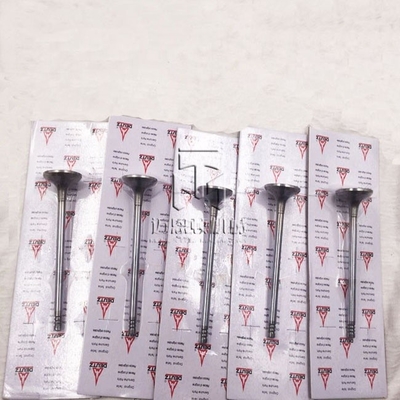 Inlet valve exhaust valve 0420 9111 0425 5255 0428 3381 04289248 04255254 4209111 4255255 4283381 4289248 4255254 20417380 04209111 04255255 04283381 0428 9248 0425 5254 04283380 for  D7D BFM1013
