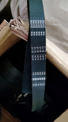 V-ribbed belt 1565mm 01181614 01183384 1181614 1183384 0118 1614 0118 3384 for TCD2012 L04 2V BF4M2012C