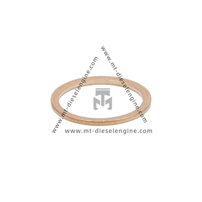 Sealing ring 01118713 01118915 0111 8713 0111 8915 0118713 1118915 For DEUTZ TD3.6 Engine