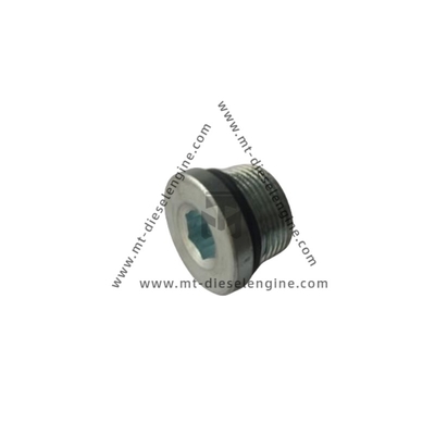 Screw plug 0114 8158 0114 8136 01148158 01148136 1148158 1148136 For DEUTZ TD3.6 Engine