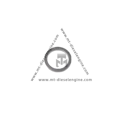 Sealing Ring 01118672 0111 8672 1118672 For Deutz TCD4.1 Engine