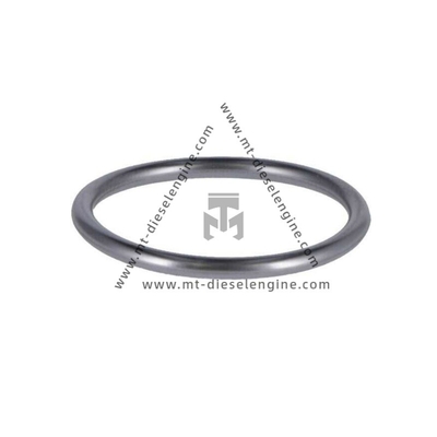 O-seal 01182854 0118 2854 1182854 For Deutz TCD4.1 Engine