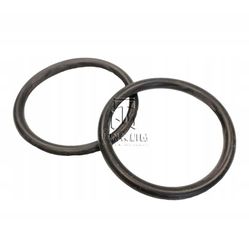 Water Pump O Ring 02931855 02931830 02931988 02931946 2931855 2931830 2931988 2931946 0293 1855 0293 1830 0293 1988 0293 1946 for deutz BF4M2012 D4D BF6M2012 D6E engine