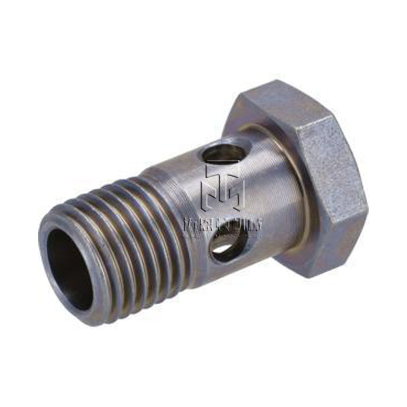 Hollow Screw 01119246 01183399 01119246 0111 9246 0118 3399 0111 9246 1119246 1183399 1119246 for DEUTZ F3L/4L/2011 D2011 BF4M2011 Engine