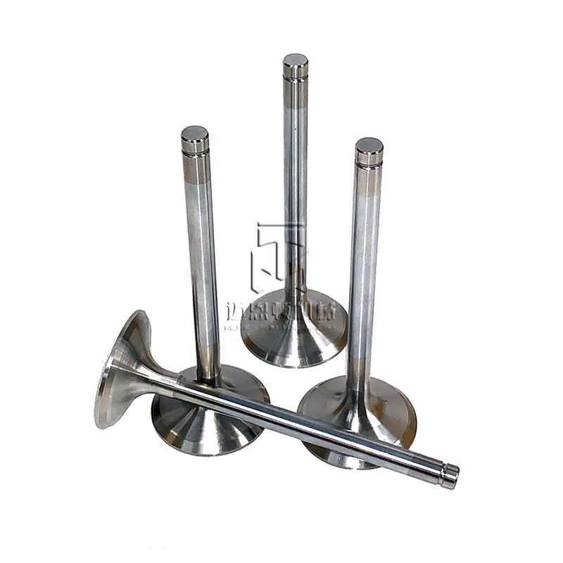Exhaust Valve 04254233 04283379 04289801 04250072 04250138 0425 4233 0428 3379 0428 9801 0425 0072 0425 0138 4254233 4283379 4289801 4250072 4250138 for deutz TCD2013 engine