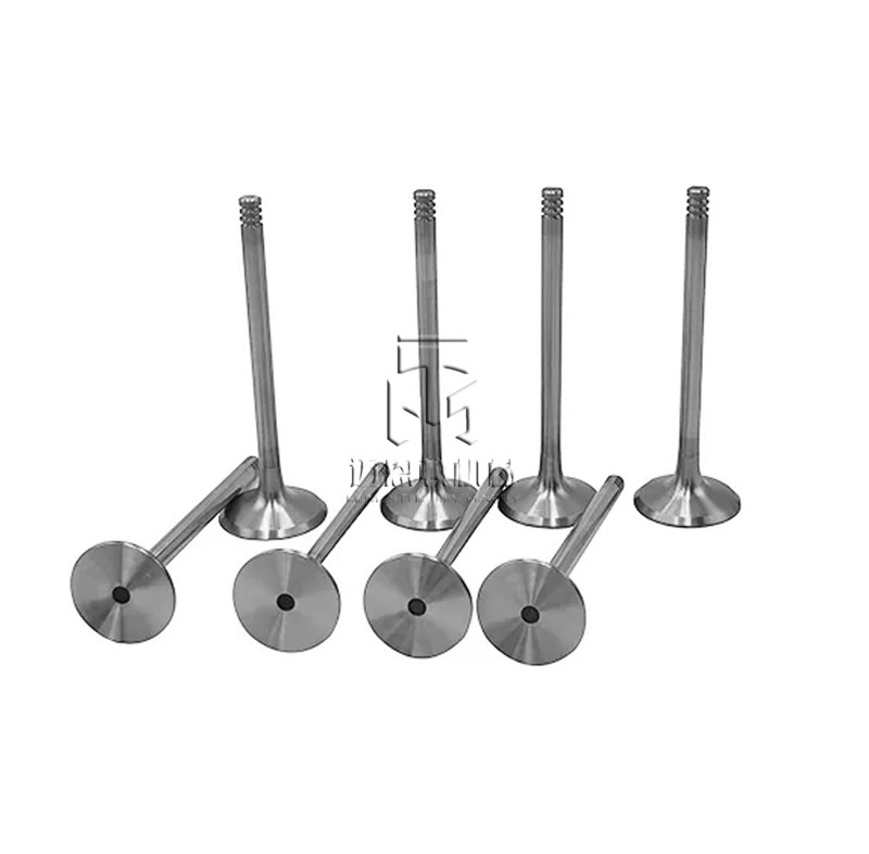 Intake Valve 04234953 0423 4953 4234953 For deutz 914 Diesel Engines