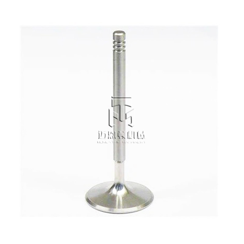Intake Valve 04250137 04254232 04283378 4250137 4254232 4283378 0425 0137 0425 4232 0428 3378 for deutz TCD2013