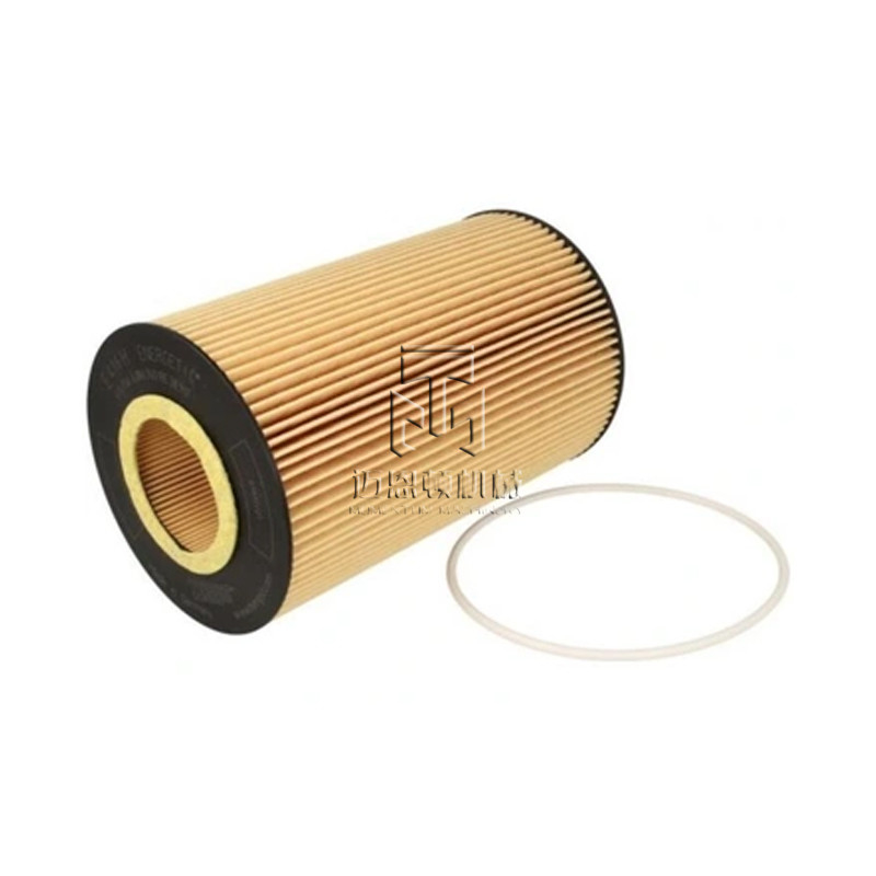 Oil Filter Element 04903560 02931709 0490 3560 0293 1709 4903560 2931709 for deutz TCD2013 L06 4V Engine