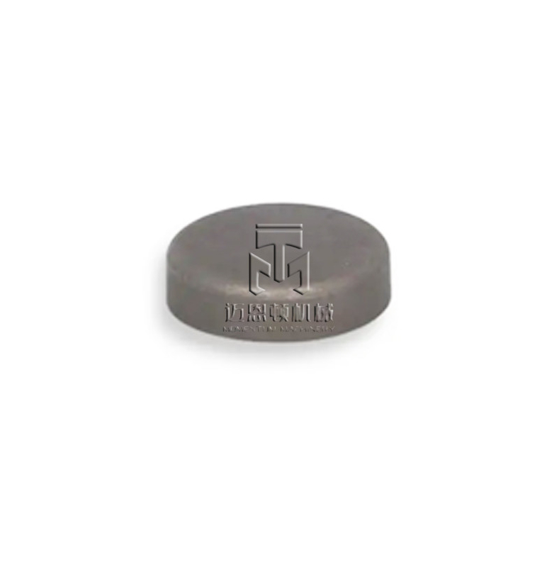 Core Hole Plug 01165828 1165828 0116 5828 For DEUTZ BFM1013 ENGINE
