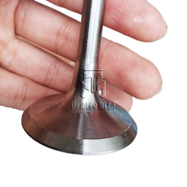 Inlet valve Exhaust valve 02137300 02237221 04153697 04159139 04231804 02137457 04159136 04153629 02137301 04159138  04230567 for deutz FL914 FL913 BFL914 BFL913 TCD914 engine