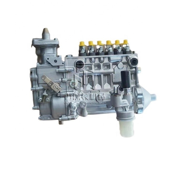 Fuel Injection Pump 04234301 0423 4301 4234301 for DEUTZ BF6L914C TCD914 L06 engine