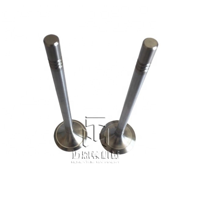 Inlet Valve And Exhaust Valve 04903005 04900685 0490 3005 0490 0685 4903005 For TCD2013 4V TAD561 TAD560