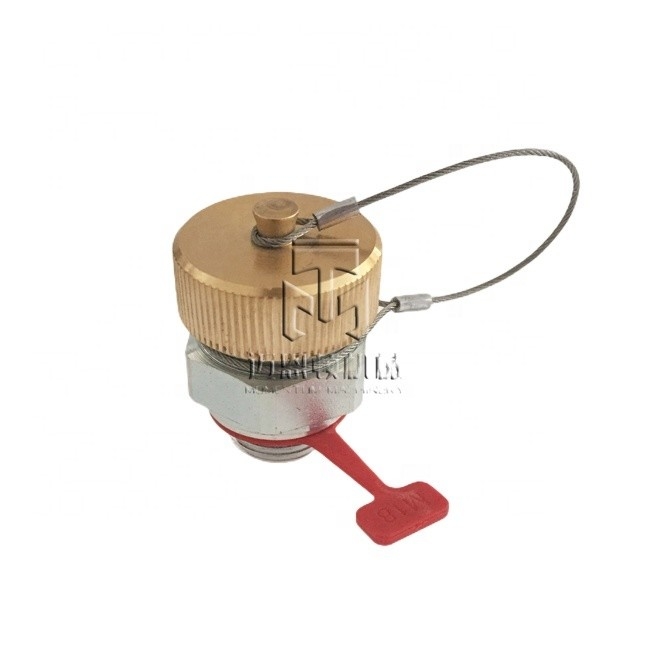 Bleeder Valve 04514867 0451 4867 4514867 for deutz BFM1013 BFM2012 TCD2012 TCD2013 Engine