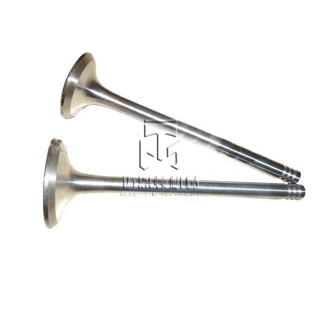 Intake Valve 04280404 04280052 4280404 4280052 0428 0404 0428 0052 Exhaust Valve 04280049 0428 0049 4280049 for deutz BFM1011 FL1011 Engine