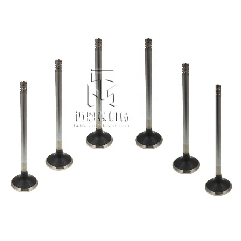 Inlet valve exhaust valve 0420 9111 0425 5255 0428 3381 04289248 04255254 4209111 4255255 4283381 4289248 4255254 20417380 04209111 04255255 04283381 0428 9248 0425 5254 04283380 for  D7D BFM1013