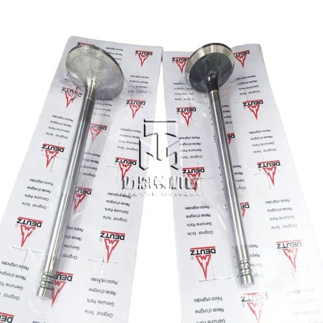 Inlet And Exhaust Valve 04509353 04509354 0450 9353 0450 9354 4509353 4509354 For Deutz BF6M1013 Engine