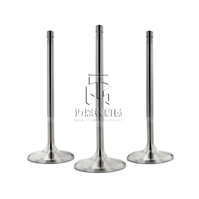 exhaust valve intake valve 04159139 04153697 04231804 04159140 04153455 4159139 4153697 4231804 4159140 4153455 041 59139 0415 3697 0423 1804 0415 9140 0415 3455 for deutz BFL913 BFL914 engine