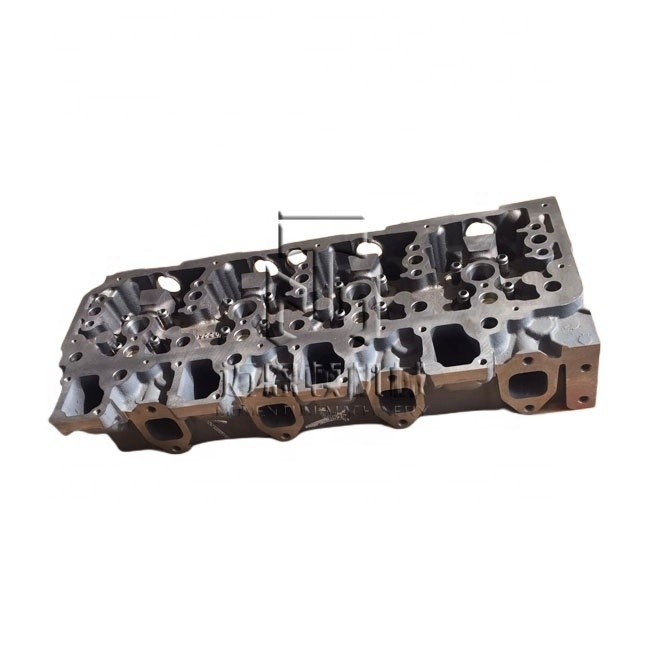 Cylinder Head Assy 04910987 04905684 04905674 0491 0987 0490 5684 0490 5674 4910987 4905684 4905674 for TCD2013 L04 4V Engine