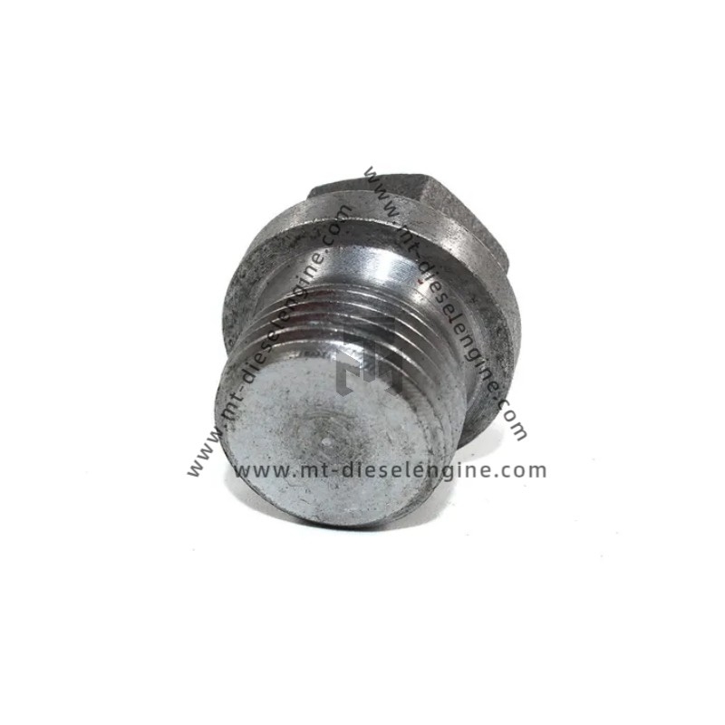 Screw plug 01133631 01123690 0113 3631 0112 3690 1133631 1123690 For DEUTZ TD3.6 Engine