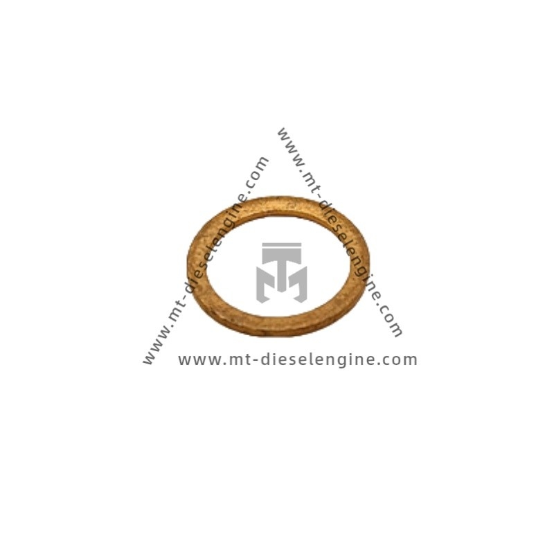 Sealing Ring 01118659 04260204 0111 8659 0426 0204 1118659 4260204 For Deutz TCD4.1 Engine